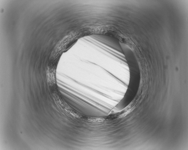 X0000054460432200508270109