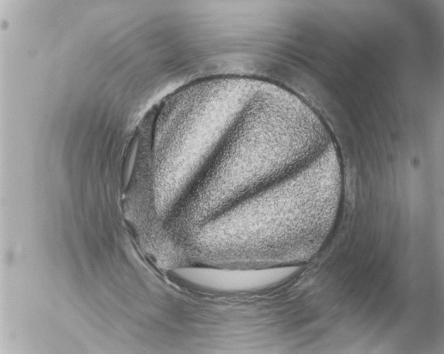 X0000054460434200508270108