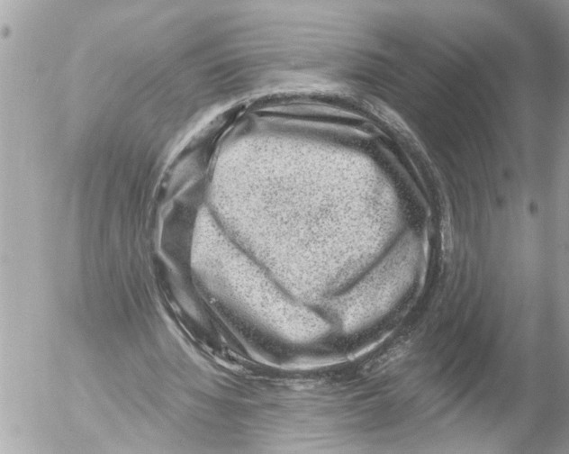 X0000054460436200508270108