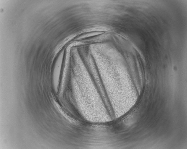 X0000054460437200508270108