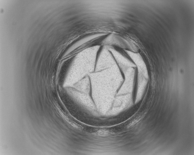 X0000054460441200508270108