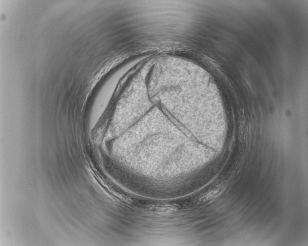 X0000054460443200508270108