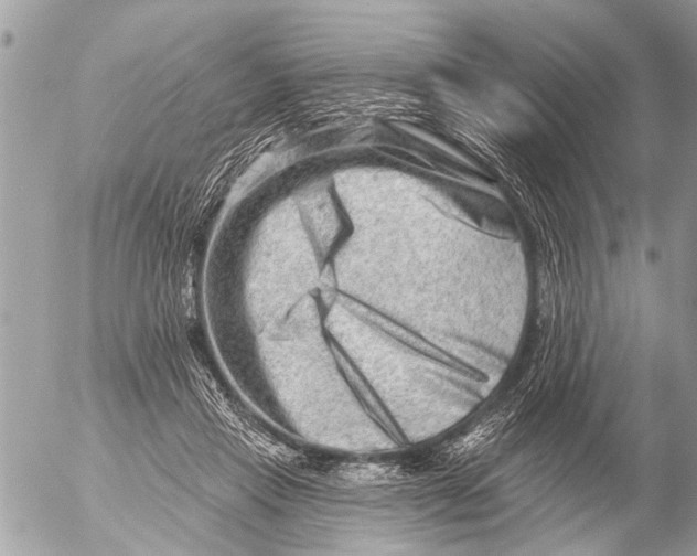 X0000054460453200508270108