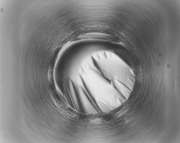 X0000054460456200508270108