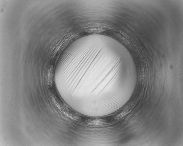 X0000054460460200508270108