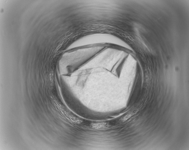X0000054460461200508270108