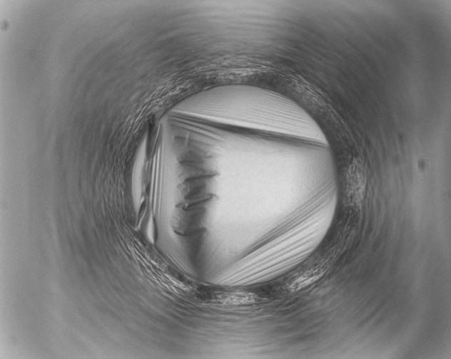 X0000054460463200508270108