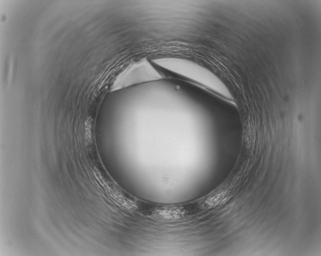 X0000054460466200508270108