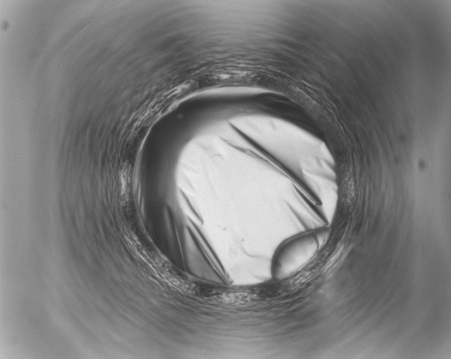 X0000054460468200508270108