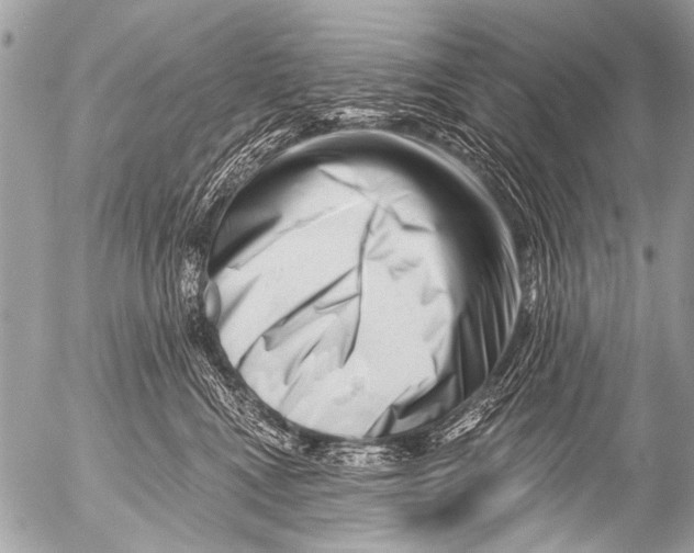 X0000054460472200508270108