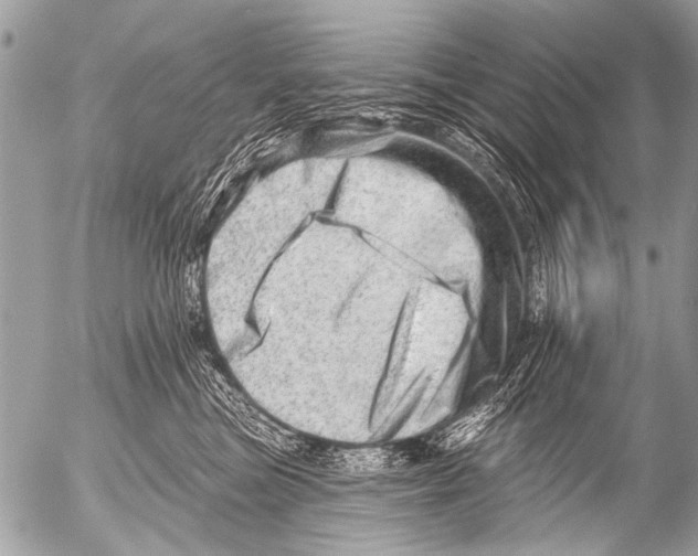 X0000054460473200508270108
