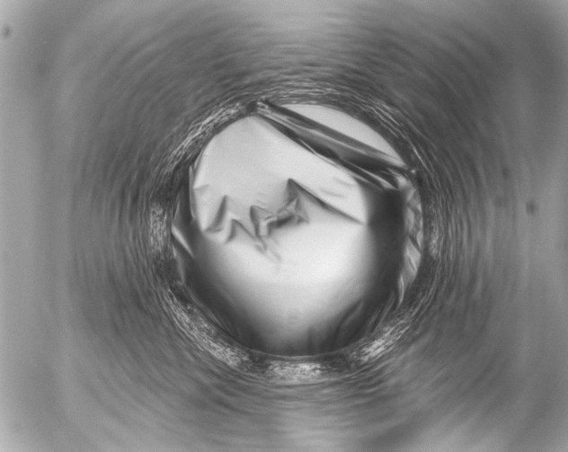 X0000054460476200508270109
