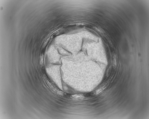 X0000054460477200508270109