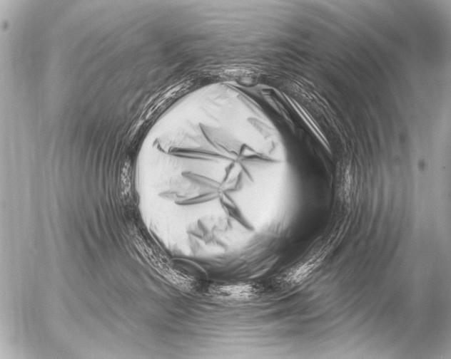 X0000054460478200508270109
