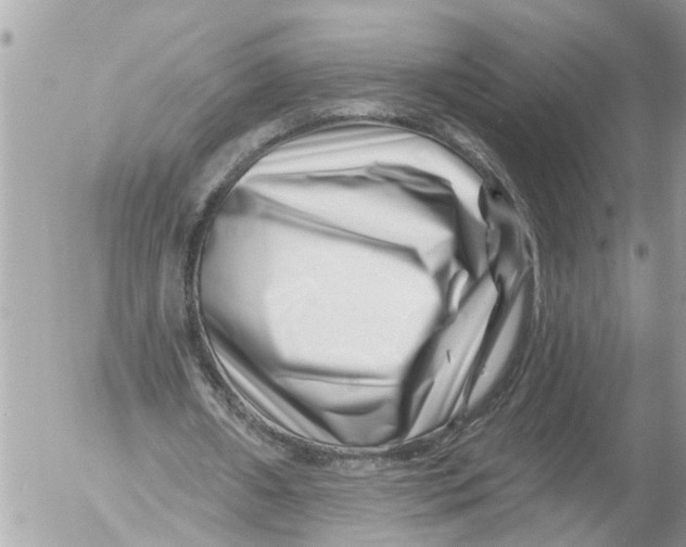 X0000054460482200508270108