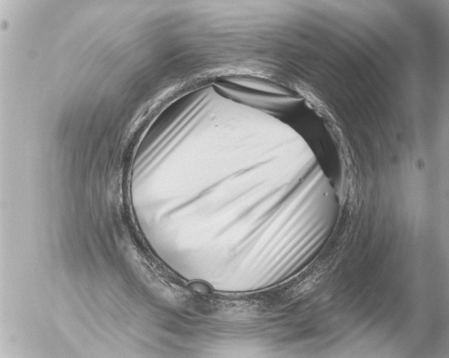 X0000054460486200508270108