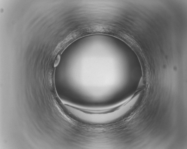 X0000054460489200508270108