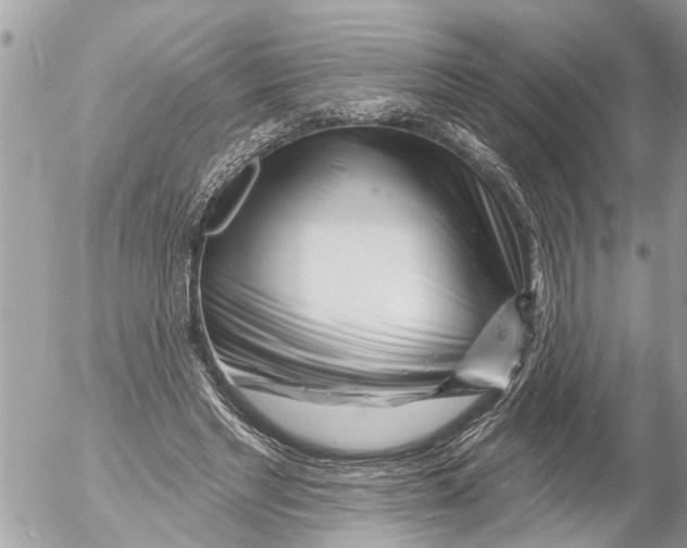 X0000054460493200508270108