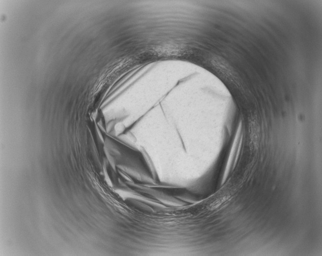 X0000054460494200508270108