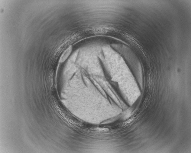 X0000054460501200508270107