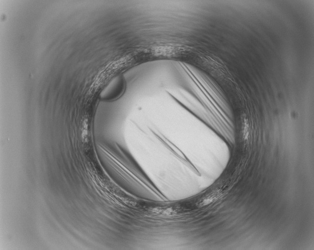 X0000054460502200508270107