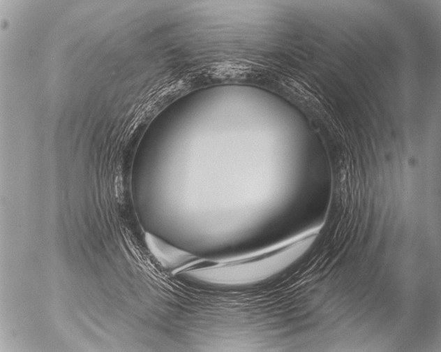 X0000054460508200508270107