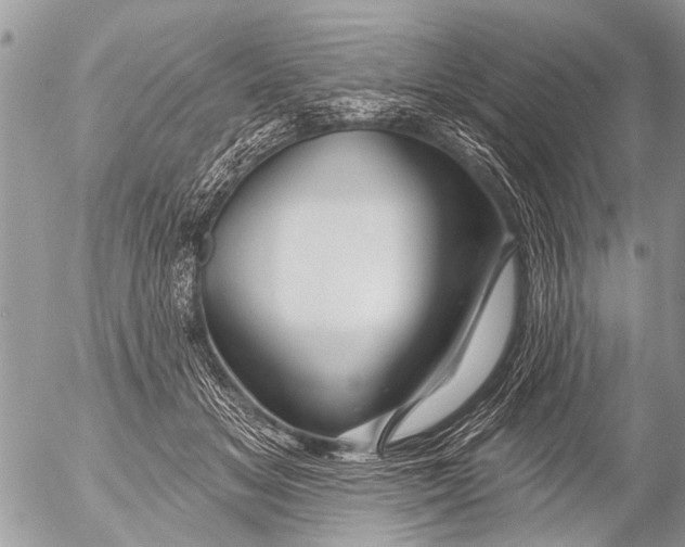 X0000054460509200508270107