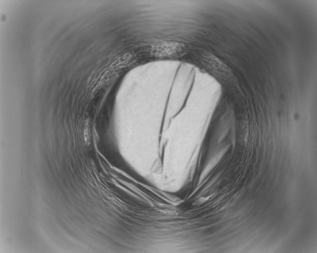 X0000054460510200508270107