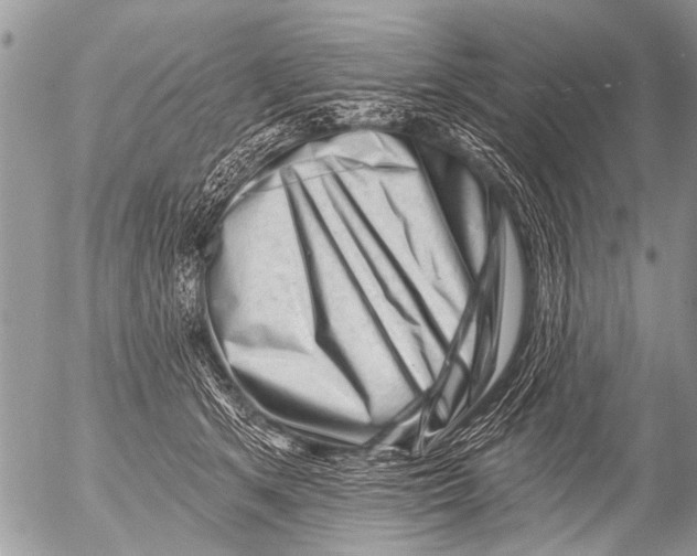 X0000054460513200508270107