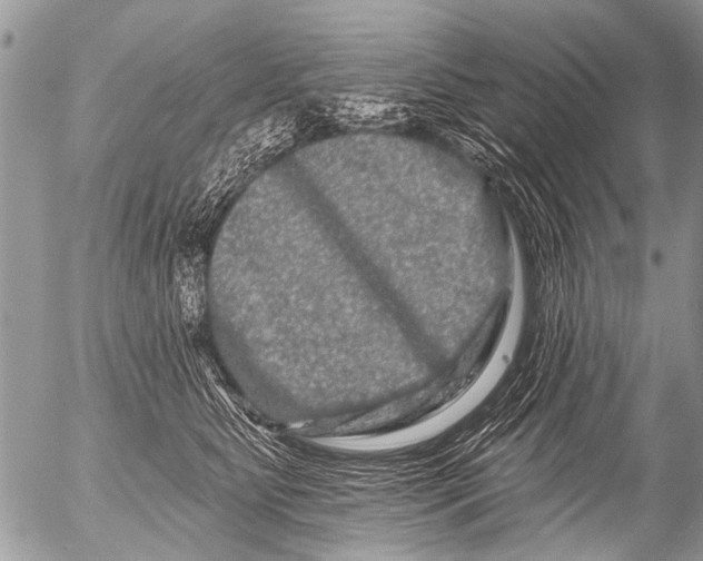 X0000054460515200508270107