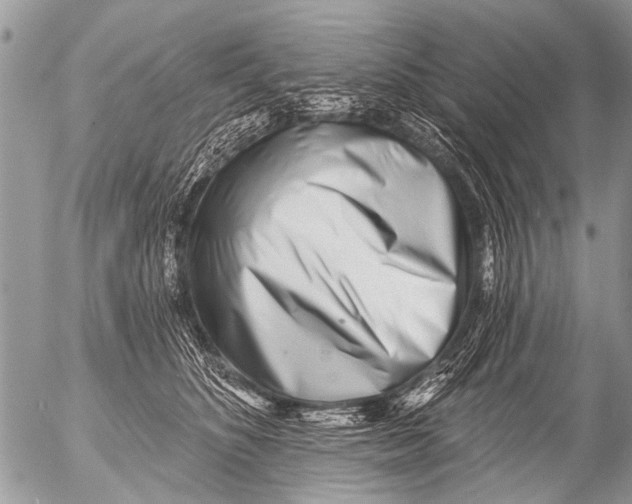X0000054460516200508270107