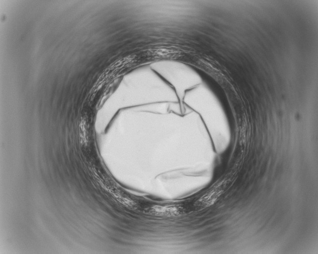 X0000054460520200508270107