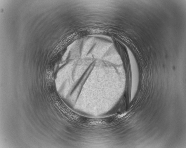 X0000054460521200508270107
