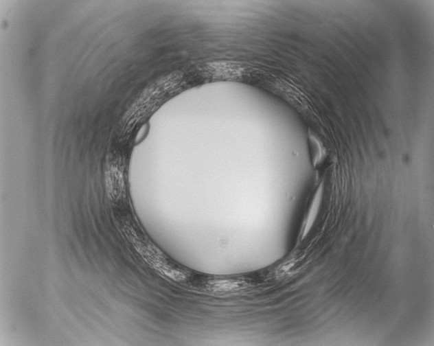X0000054460522200508270107
