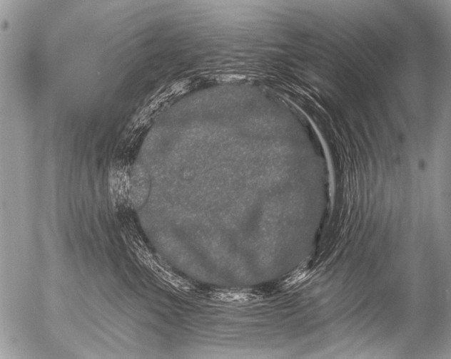 X0000054460523200508270107