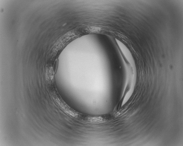 X0000054460525200508270107
