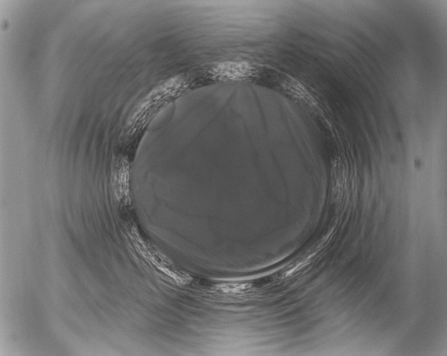 X0000054460526200508270107
