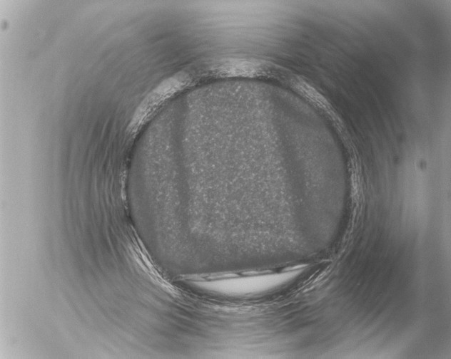 X0000054460537200508270106