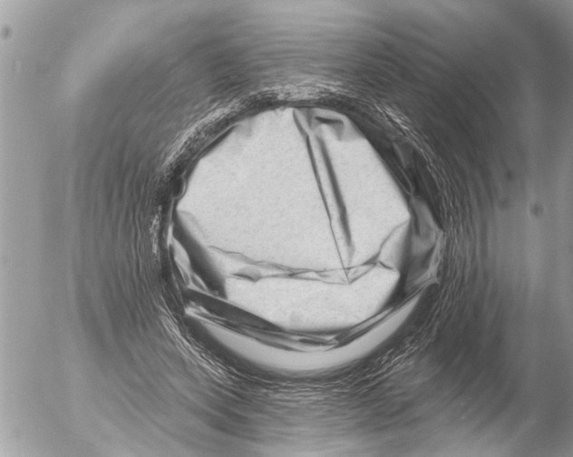 X0000054460543200508270106