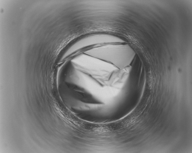 X0000054460544200508270106