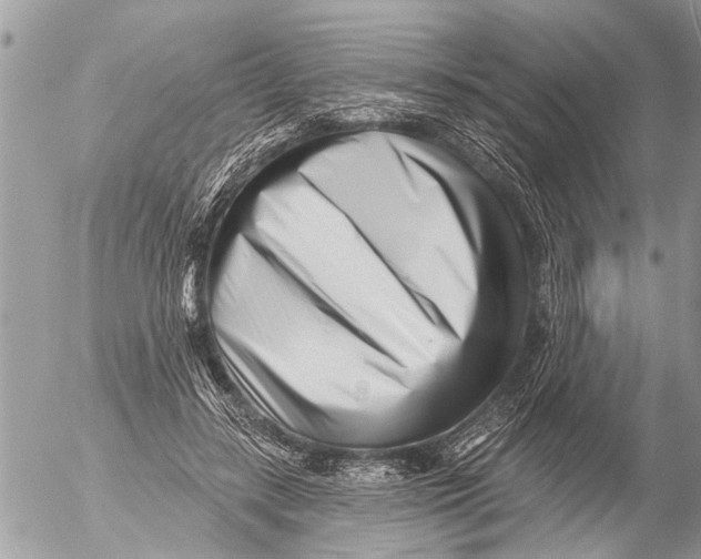 X0000054460547200508270106