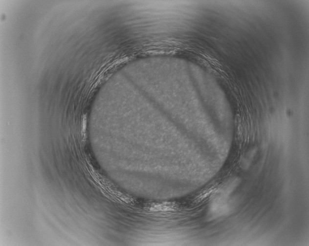 X0000054460550200508270107