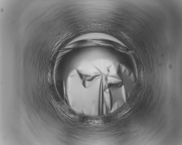 X0000054460552200508270107