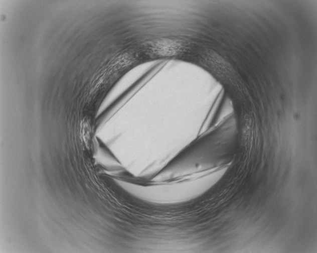 X0000054460555200508270107