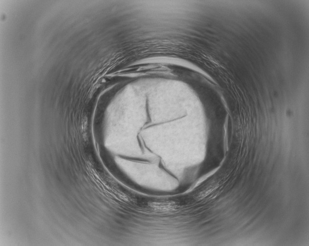 X0000054460556200508270107
