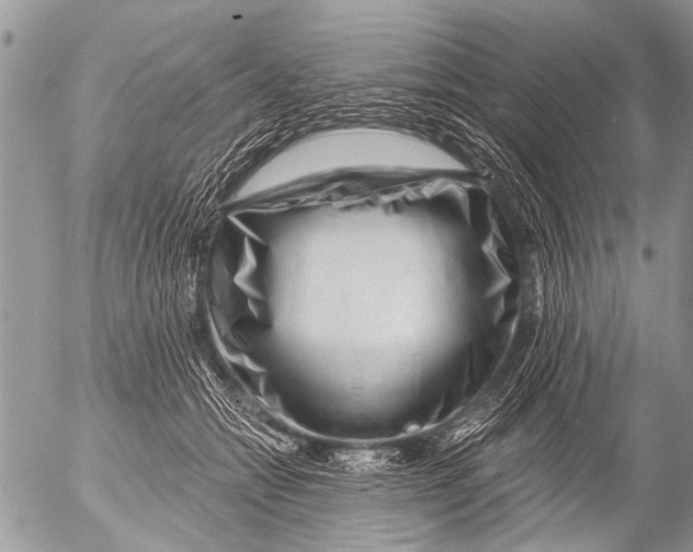 X0000054460558200508270107