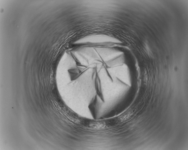 X0000054460559200508270107