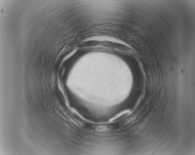 X0000054460562200508270107