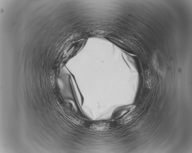 X0000054460563200508270107