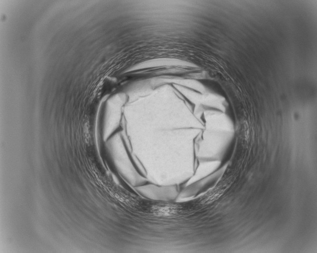 X0000054460564200508270107